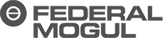 federalmogul